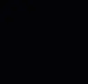 Black Ral 9005