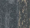 559