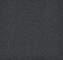 569