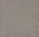 731