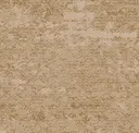 751