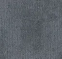 569