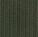 685
