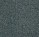 569
