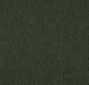 646