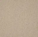 731