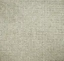 Alpaca