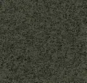 Flecked