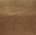 Guinea
