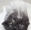 Zorro