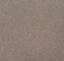Shitake