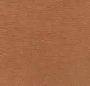Bambi