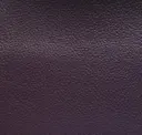 Eggplant