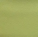 Honeydew