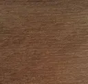 Bark