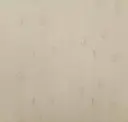 Parchment