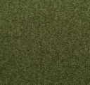 Field