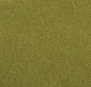 Zanzibar