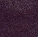 Plum Ice