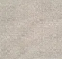 Onionskin