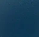 Diver