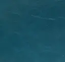 Islander