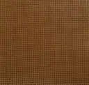 Buckskin