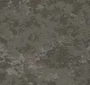 Virgo