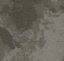 Virgo