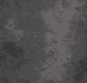 Scorpio