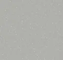 Arcadian Grey