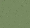 Fresh Green