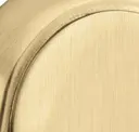Satin Brass