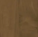 Filbert