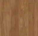 Teak