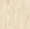 Oak Raw