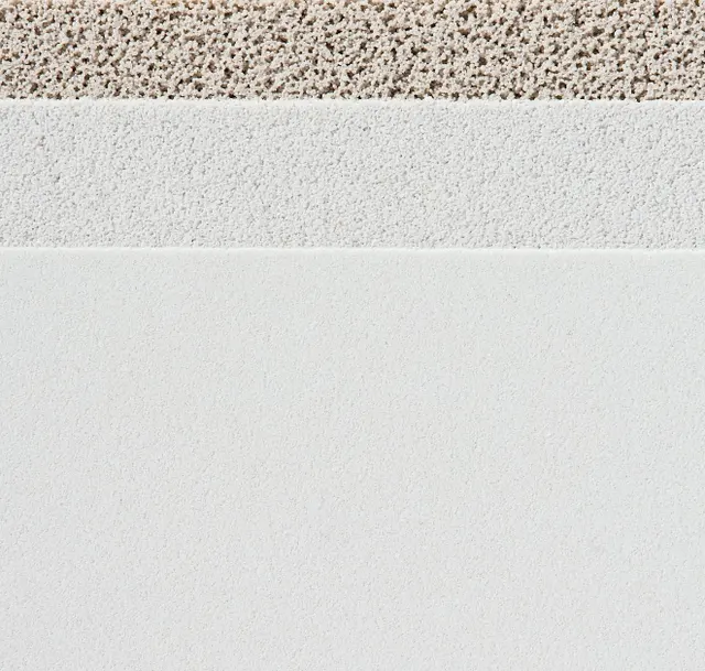 Main