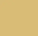 Pale Brass
