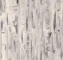 Blonde Gesso Wood