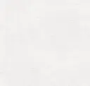Textured Papyrus