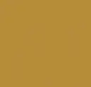 Radiant Brass