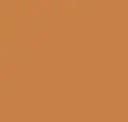 Copper Alloy
