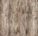 Beach Antique Wood