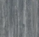 Gunmetal Crown