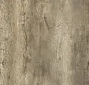 Rediscovered Oak