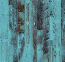 Border Blue Pine