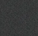 Ebony Black Rose