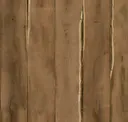 Texas Mesquite