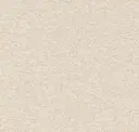 Balsa