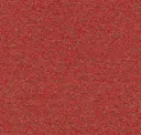 Salsa